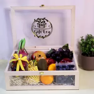 NATURE’S TREASURE CHEST