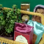 GREEN BLISS TEA & TREATS HAMPER